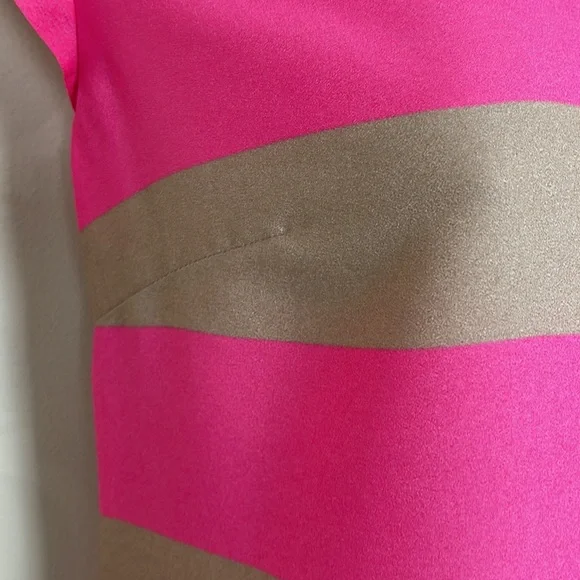 THE LIMITED PINK & TAN STRIPED TOP - Picture 4 of 8